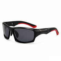 Black frame gray lenses